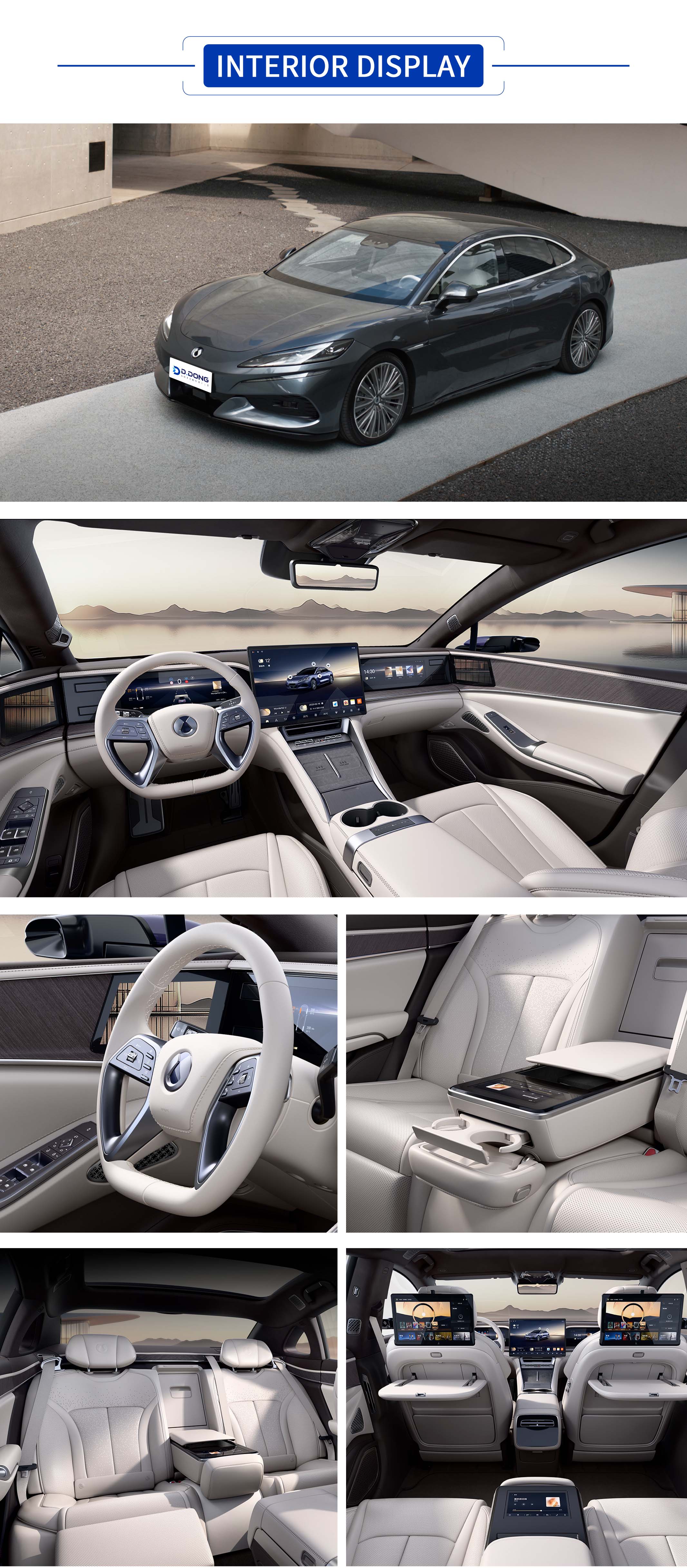 Denza Z9 DM All Colors,Denza Z9 DM All Interior Display